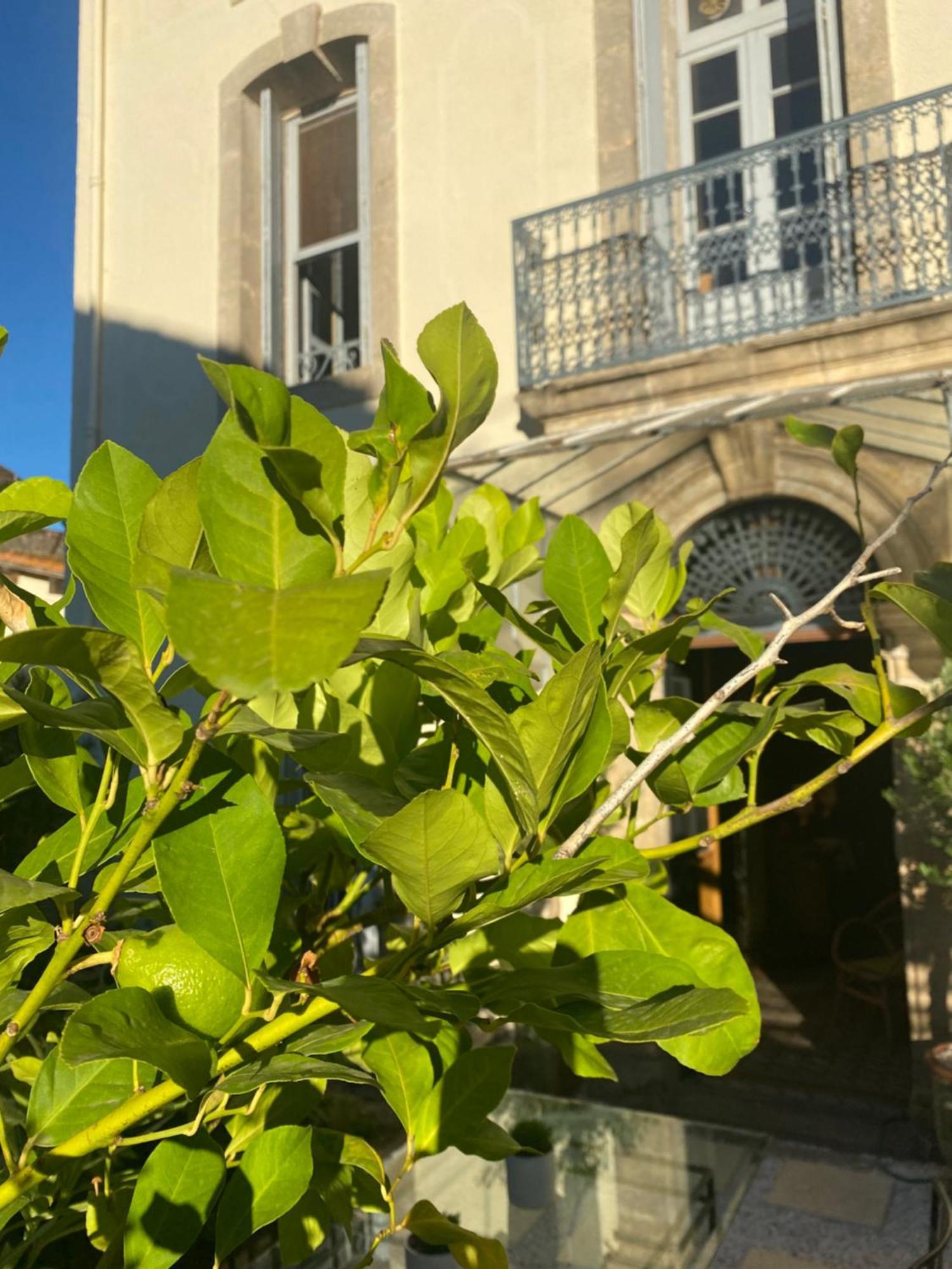 Le Jardin Hotel Aspiran Exterior photo